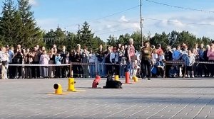 одорология 9 мая - ОЦССС