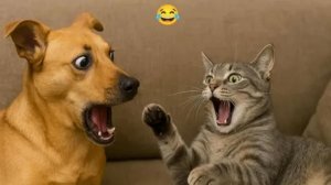 🤣Самые смешные кошки и собаки🤣 До СЛЕЗ!😂| 😻СМЕШНЫЕ ВИДЕО С ЖИВОТНЫМИ!#13!💯