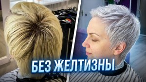 Холодный блонд мечты  главные ошибки при обесцвечивании и тонировании.