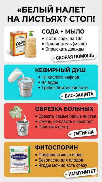 🆘 КАБАЧКИ ПОБЕЛЕЛИ ЭТО МУЧНИСТАЯ РОСА 🛡️ смотреть онлайн