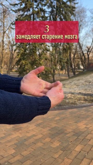 Улучшение работы мозга