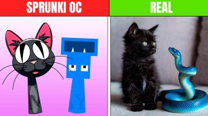 СПРУНКИ ОС: КОТ ПРОТИВ ГОЛОДНОЙ ЗМЕИ В РЕАЛЬНОЙ ЖИЗНИ 🐍🆚😺