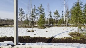 Коркино зима
