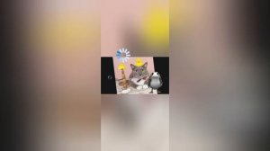 все мои эдиты с котинет + 1 новый