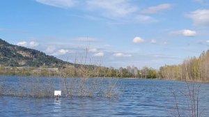 Кисловодск,Новое озеро,красивое небо и одинокая уточка..