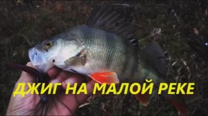 ДЖИГ НА МАЛОЙ РЕКЕ