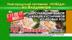 Анонсы и рекламный блок (Первый канал (Владимир), 08.05.2026)