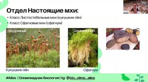 Жизненные циклы растений | Экспрессия | Alles