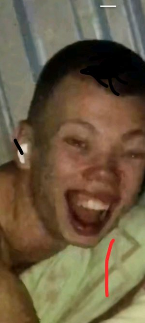 dmm