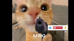 песня мяю