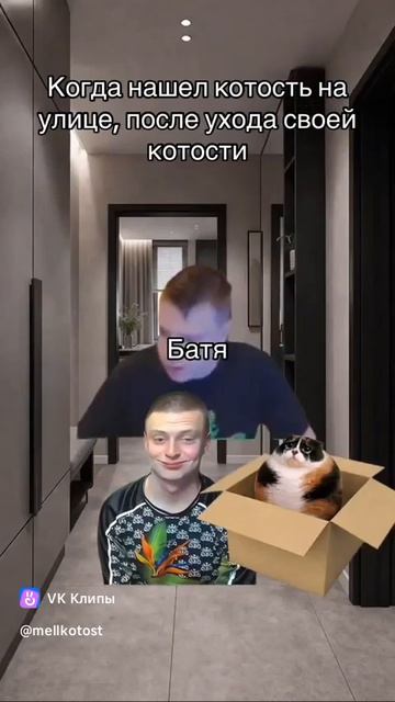 Когда нашёл новую котость после ухода старой
