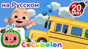 Колёса на Школьном Автобусе🎶🚌 # CoComelon на русском — Детские песенки