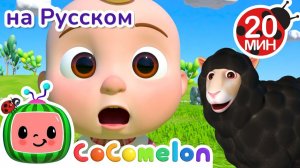 🐑 Бе-Бе Чёрная Овечка! # CoComelon на русском — Детские песенки