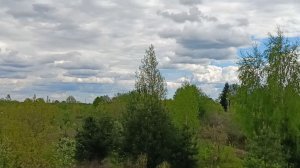 ОТТЕПЕЛЬ В ДУШЕ. КАК ВЕСНА ЛЕЧИТ СЕРДЦЕ.