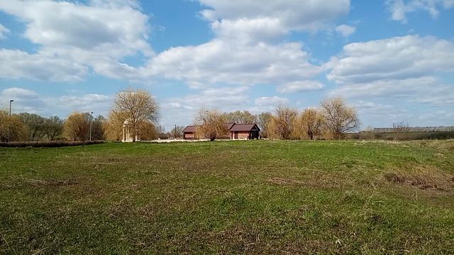 Себино зацвела мать мачеха