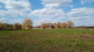 Себино зацвела мать мачеха