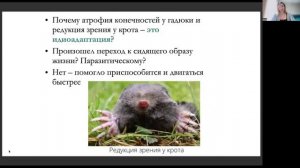 ЭВОЛЮЦИЯ 4 (Ароморфоз, идиоадаптация, дегенерация)