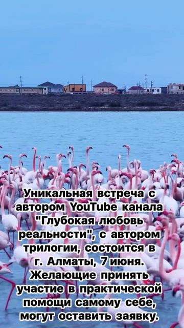 Мудрость