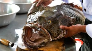Гигантская Групер Голиаф Рыба Сашими Муйне морепродукты Вьетнам