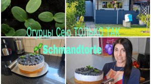 VLOG 🇩🇪 Наша Дача в Германии 🏕 Вот так Сею Огурцы гаждый Год/Пышный и Очень вкусный Торт