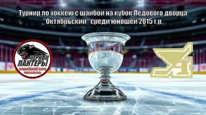 Авангард(Уфа)-Чёрные пантеры (Чистополь) 12.04.2026г.