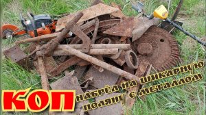 Шикарный металлокоп , до обеда ниву загрузил под завязку