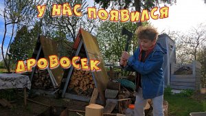 У НАС ПОЯВИЛСЯ ДРОВОСЕК