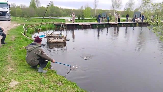 ловля форели,форелевая рыбалка РК 