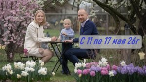 Прогноз с 11-17 мая 26г