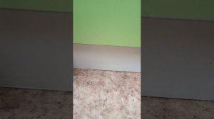 Распаковка кэрэма