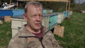 Дневник пасеки на сотке от 04-10 мая 2026 год