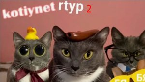 Kotinet RYTP 2