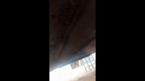Антикор лучше пушсала