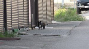 На пляже в мае города Сочи