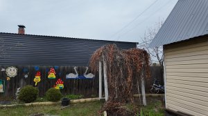 Чищу цветочные клумбы, избавляюсь от муравьев.