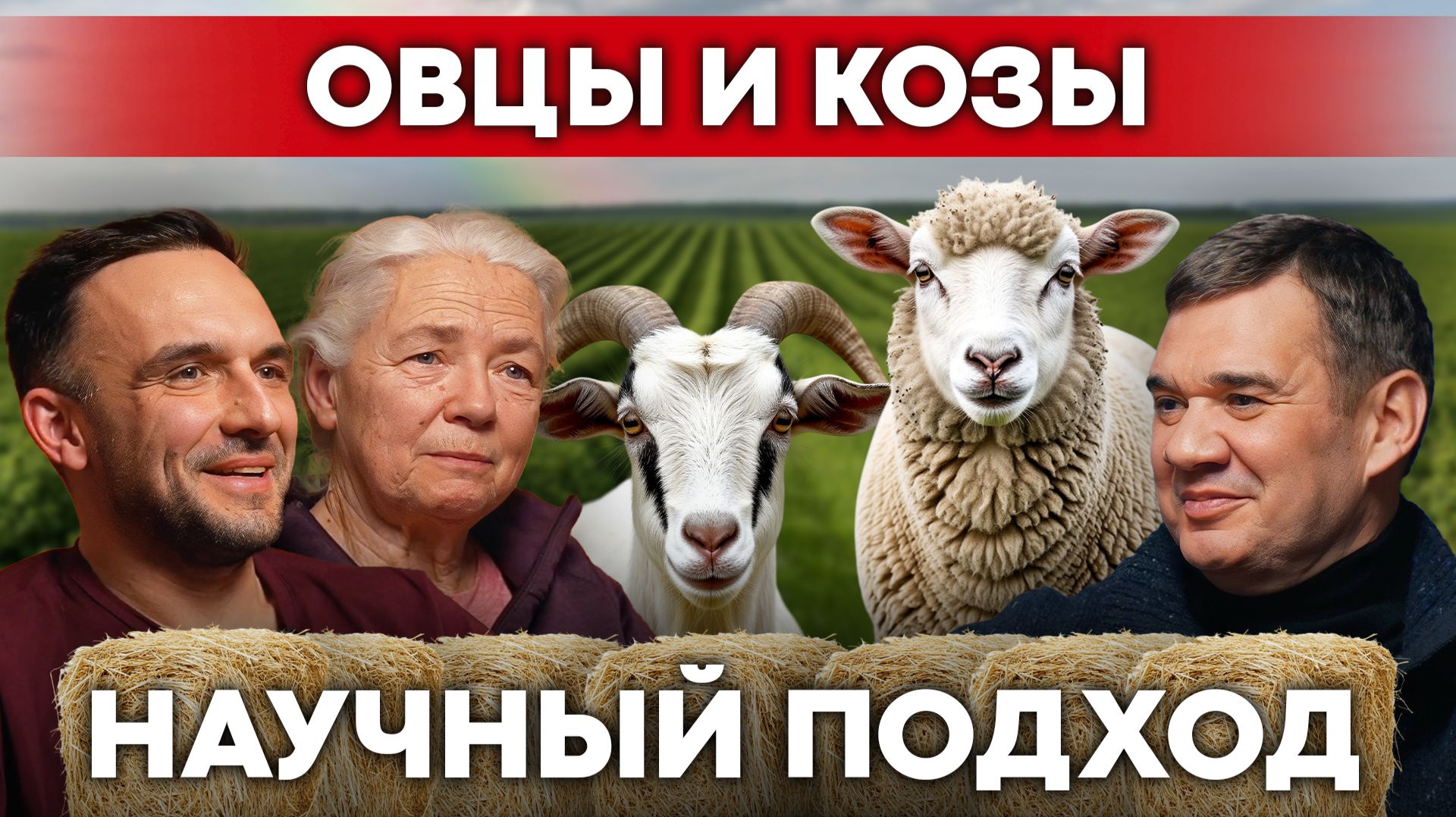 Учёные уехали в деревню и создали необычную ферму овец, коз и альпак | Своя еда