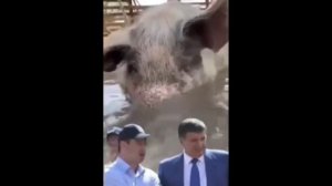 КИРОВСКИЙ ЗАВОД! САМ АРСЕН АВАКОВ, МИНИСТР МВД, ГОТОВИЛ В РОССИЮ СЕРЕБРЯКОВА С.А. ОН БЫЛ ЕГО ДРУГОМ
