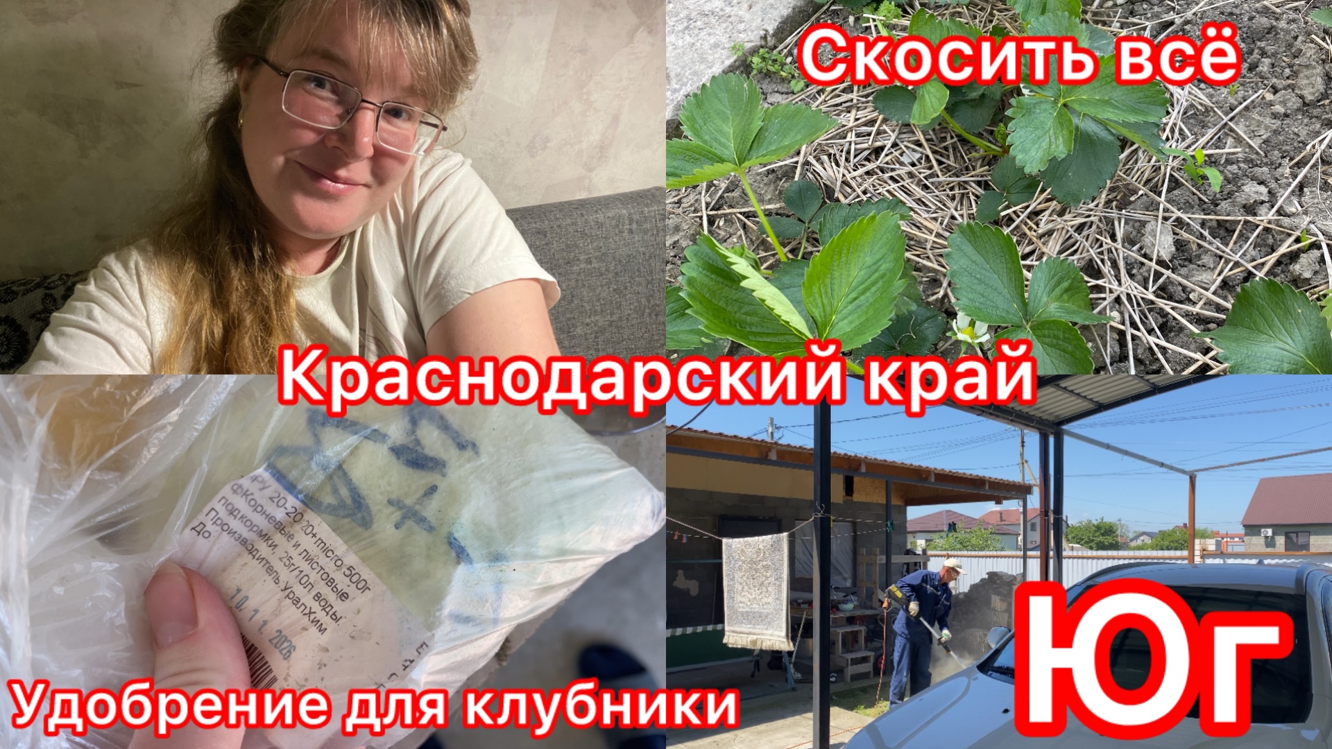 Купили дом на юге. Косим траву. Серёжа ругается. Подкормила клубнику. Всё успели.