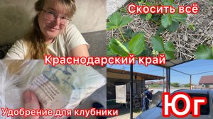 Купили дом на юге. Косим траву. Серёжа ругается. Подкормила клубнику. Всё успели.