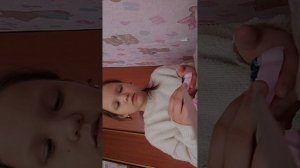 обзор табо лапки🐾