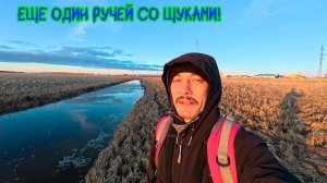 Еще один ручей со щуками! Вечерняя рыбалка #рыбалка #хмао #щука