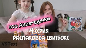 Финальная, четвёртая часть распаковки блока свитбоксов