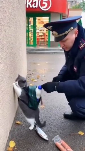 Котоворишка попался 🙀