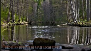 Текущее время 10 мая 2026