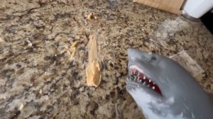 Shark Puppet plays Talking Ginger