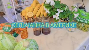 Сельчанка в Америке ВСЕМИ ЛЮБИМЫЙ САЛАТ С КАПУСТЫ МОЖЕТ СТОЯТЬ НЕДЕЛЮ