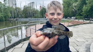 Goby Cup 2026: в погоне за ротаном!