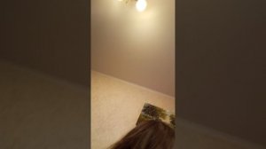 1000000870.mp4