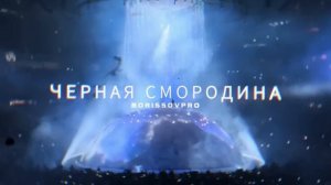 ЧЕРНАЯ СМОРОДИНА Пусть распускаются цветы Версия 2026