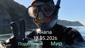 Анапа 10.05.2026 Подводный мир